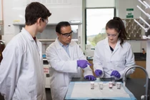 Ô tô sạch chạy bằng pin ethanol