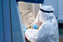 Ca bệnh 590 mắc Covid-19 nhiều ngày bán gấu bông ở công viên