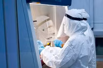 Ca bệnh 590 mắc Covid-19 nhiều ngày bán gấu bông ở công viên