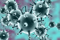 Bài thuốc Đông y phòng Covid-19 ở người cao tuổi