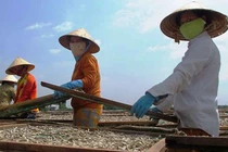 Nồng nàn mùi Tết