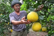 Biến nông thôn thành nơi đáng sống