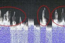 Vì sao 39 người phải vào Anh trong xe đông lạnh -25 độ C?