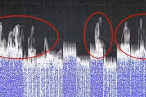 Vì sao 39 người phải vào Anh trong xe đông lạnh -25 độ C?