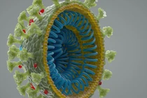 nCoV không bắt nguồn từ phòng thí nghiệm