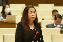 Phó chủ nhiệm Uỷ ban Tài chính ngân sách Quốc hội Vũ Thị Lưu Mai