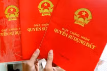 Bình Định: Khởi tố cán bộ huyện và cựu chủ tịch xã liên quan đến sai phạm đất đai