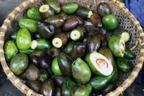 Nguy cơ nhiễm khuẩn, nấm mốc từ quả hỏng một phần