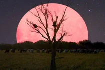  Sự thật về Trăng tròn tháng 4