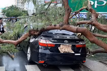 5 điều cần làm ngay với ô tô trước khi bão đến