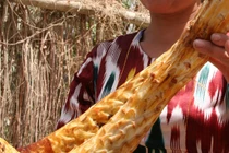 Thuốc cho người thận yếu, thiếu “tinh binh”