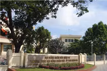 TPHCM tiếp tục đề xuất không tổ chức HĐND cấp quận và phường