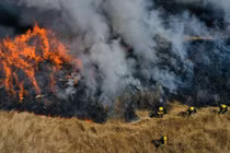 Buồn vì vợ không cùng về họp lớp, chồng đốt 13 cánh rừng