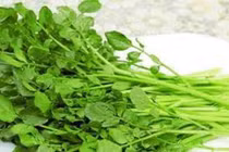 Rau cải xoong giúp thanh nhiệt, phòng bệnh