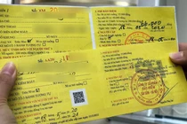 Tỷ lệ bồi thường bảo hiểm xe máy bắt buộc chỉ 6%