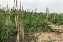 Bộ trưởng Bộ Xây dựng: Dự án quy hoạch treo quá 3 năm người dân được cải tạo, xây dựng nhà