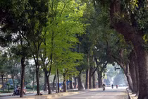 Chất lượng không khí Hà Nội phụ thuộc lớn vào sự thay đổi của thời tiết