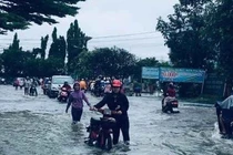 Khẩn: TPHCM dừng mọi hoạt động giảng dạy trong chiều 26/11