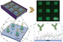 Tìm kiếm dấu ấn sinh học - phương pháp xét nghiệm Covid-19 mới