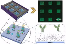 Tìm kiếm dấu ấn sinh học - phương pháp xét nghiệm Covid-19 mới