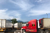 Có hay không chuyện thanh long Bình Thuận xuất sang Trung Quốc 'nhiễm Covid-19 trên bao bì'?