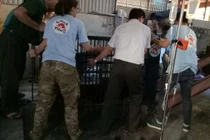 Nghệ An: Chuyển giao ba cá thể gấu bị nuôi nhốt trái phép