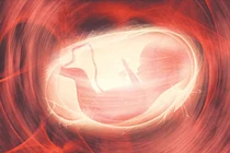 Đứa trẻ ‘thiết kế sẵn’ đầu tiên sẽ được ra đời vào tháng Giêng 2035?