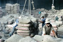 Thị trường xi măng diễn biến trái chiều