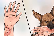 Nam sinh lớp 9 tử vong sau một tháng bị chó dại cắn