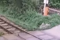 Video Một phụ nữ bị tàu hỏa tông chết khi cố lao qua đường ngang