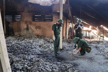 Sau tẩy độc, đất Rạng Đông dùng để làm gì?