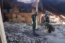 Sau tẩy độc, đất Rạng Đông dùng để làm gì?