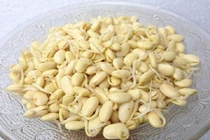 Bột mầm đậu nành giàu hàm lượng GABA 