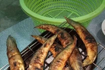 Cá chạch sấy trị viêm gan truyền nhiễm