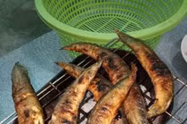 Cá chạch sấy trị viêm gan truyền nhiễm