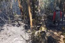 Gia Lai: Cháy hàng chục ha rừng