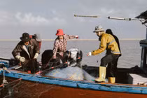 Lời bài hát Mang Tiền Về Cho Mẹ và những hình ảnh lấy nước mắt người xa xứ