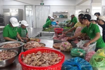 70% số vụ ngộ độc thực phẩm là do sử dụng suất ăn từ nơi khác chuyển đến