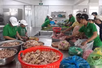 70% số vụ ngộ độc thực phẩm là do sử dụng suất ăn từ nơi khác chuyển đến