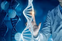 Sẩy thai có do di truyền?