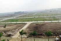 Cảnh báo tình trạng đầu cơ đất ngoại thành Hà Nội