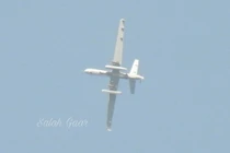 UAV Mỹ tiếp tục săn đuổi các thủ lĩnh cao cấp của Al-Qaeda trên không phận Idlib của Syria