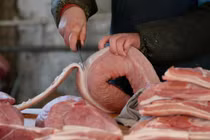 Lợn hơi còn 59.000 đồng/kg, giá thịt tại chợ vẫn cao gấp 3