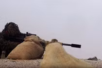 Video xạ thủ bắn tỉa Houthi tấn công Liên quân trên lãnh thổ Ả rập Xê út 