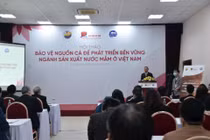 Trữ lượng cá nổi nhỏ của Việt Nam đang giảm