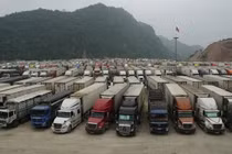 Xuất khẩu nông sản vẫn mù mờ về cung và cầu