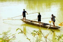 Thanh Hóa: Cấm dùng chất nổ, xung điện, chất độc để khai thác thủy sản