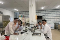 Gỗ, giấy bền nhờ… rơm rạ