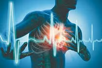 Bấm phản xạ chỉnh rối loạn nhịp tim