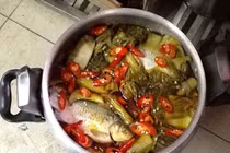 Cá diếc lành, dễ ăn 